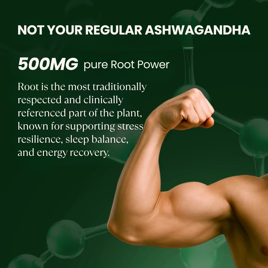 Ashvanta | Pure Ashwagandha Root Capsules | FSSAI Certified | 60 Veg Capsules