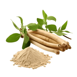 Ashwagandha Root