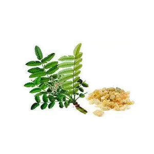 Shallaki (Boswellia)