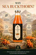 Sea Buckthorn Syrup | Ladakh Sea Buckthorn Juice | Omega 3,6,7 & 9 | FSSAI Certified